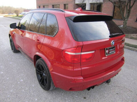 2010 BMW X5 M
