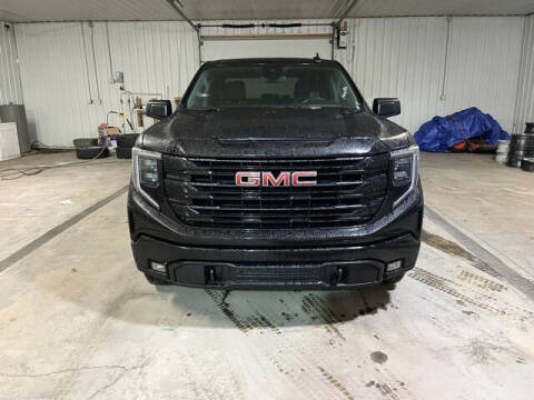 2024 GMC Sierra 1500 for sale at Monster Motors in Michigan Center MI