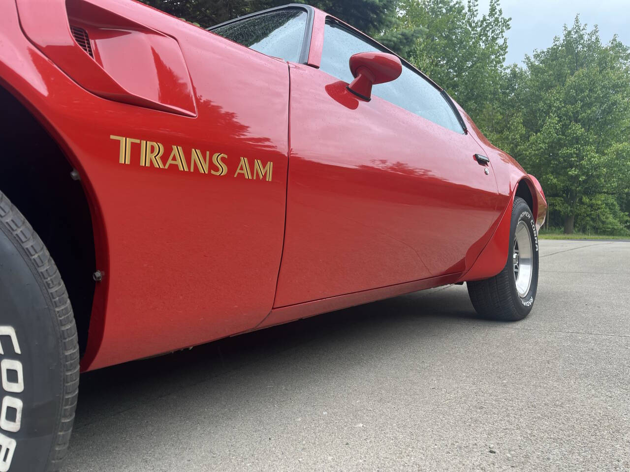 1977 Pontiac Firebird Trans Am 9