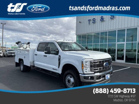 2024 Ford F-350 Super Duty for sale at TS&S Ford in Madras OR