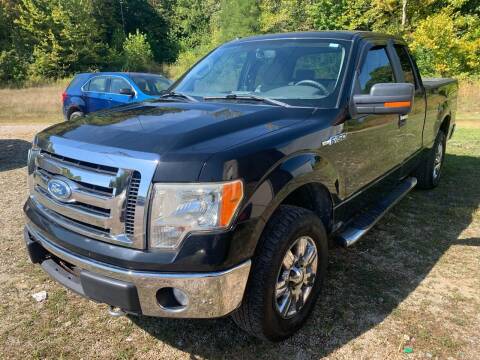 2009 Ford F-150 for sale at Court House Cars, LLC in Chillicothe OH