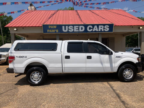 2014 Ford F-150 for sale at Paw Paw's Used Cars in Alexandria LA