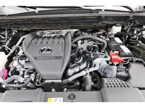 2024 Lexus NX 350 Luxury