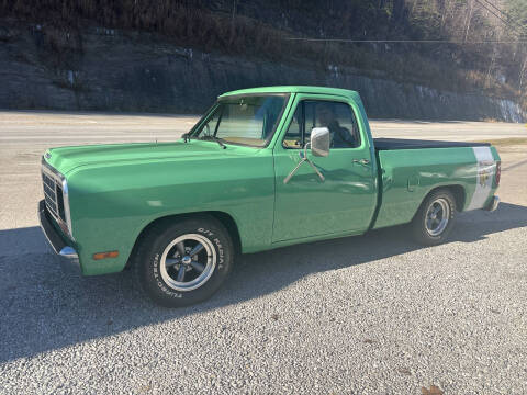 1981 Dodge RAM 150
