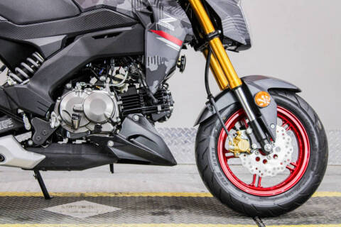 2024 Kawasaki Z125 Pro