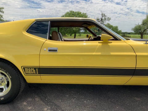 1973 Ford Mustang