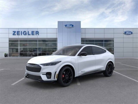 2023 Ford Mustang Mach-E for sale at Zeigler Ford of Plainwell - Jeff Bishop in Plainwell MI