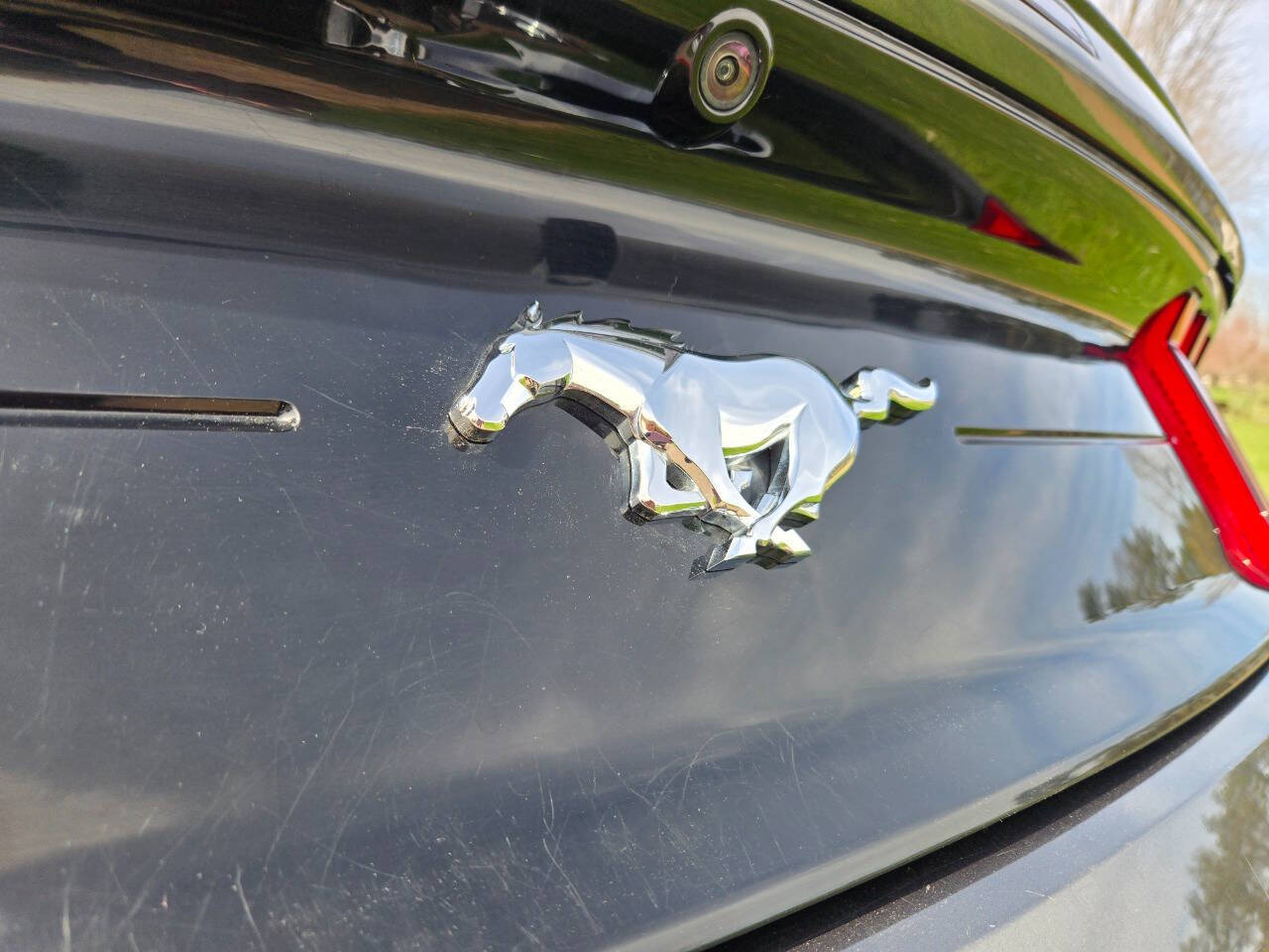 2019 Ford Mustang 46