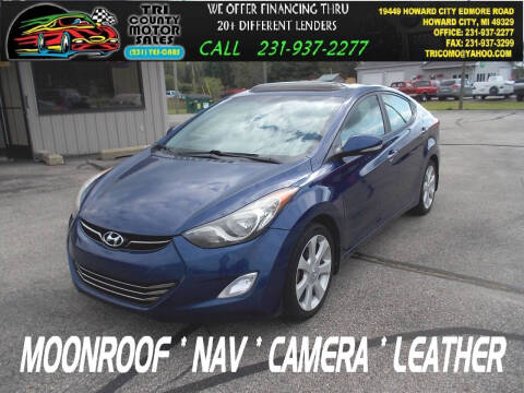 2013 Hyundai Elantra for sale at Tri County Motor Sales in Howard City MI