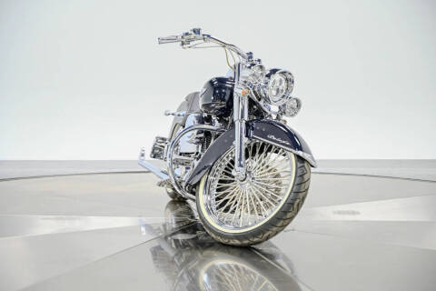 2009 Harley-Davidson FLTSN