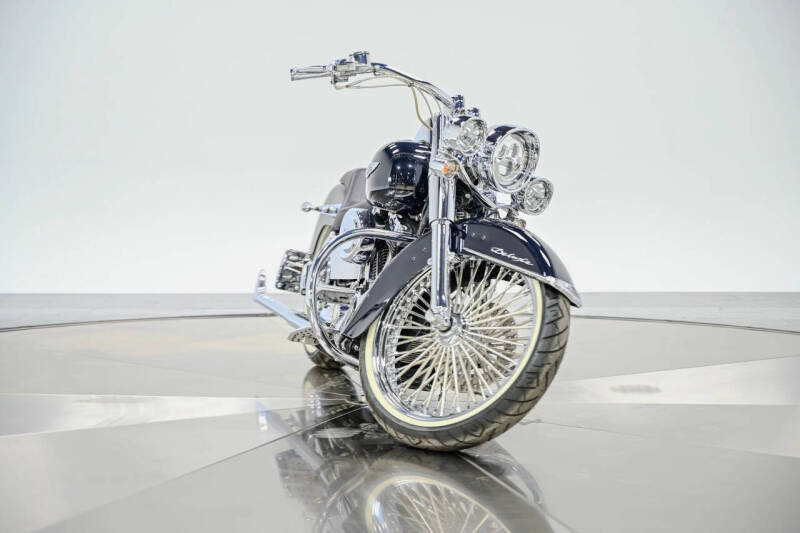 2009 Harley-Davidson FLTSN