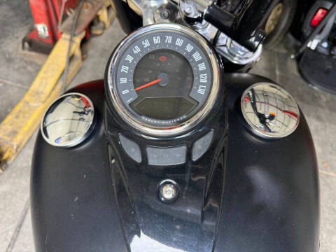 2020 Harley-Davidson Softail