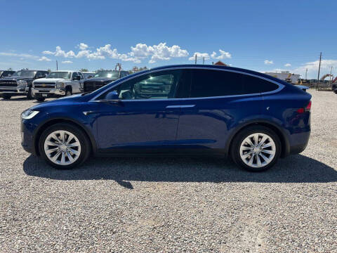 2020 Tesla Model X