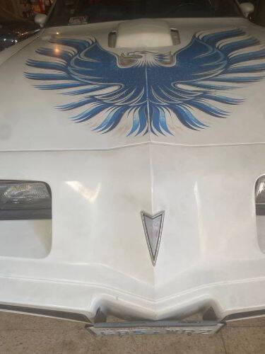 1980 Pontiac Firebird