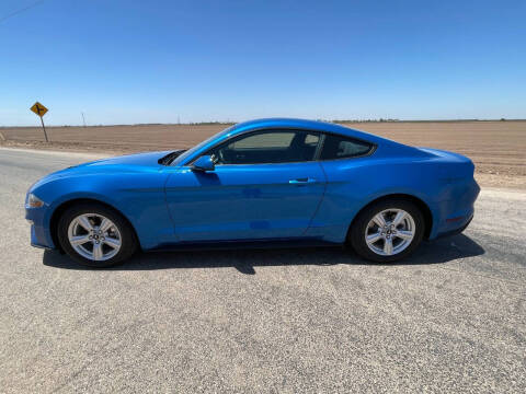 2019 Ford Mustang EcoBoost