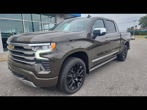 2023 Chevrolet Silverado 1500 for sale at Herman Jenkins Used Cars in Union City TN