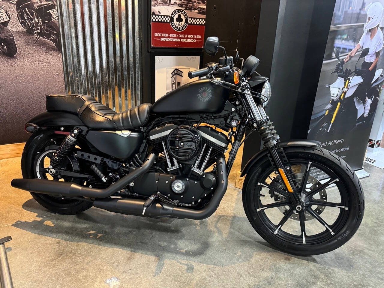 2022 Harley-Davidson XL 883 Sportster for sale at TEXAS MOTORS POWERSPORT in ORLANDO, FL