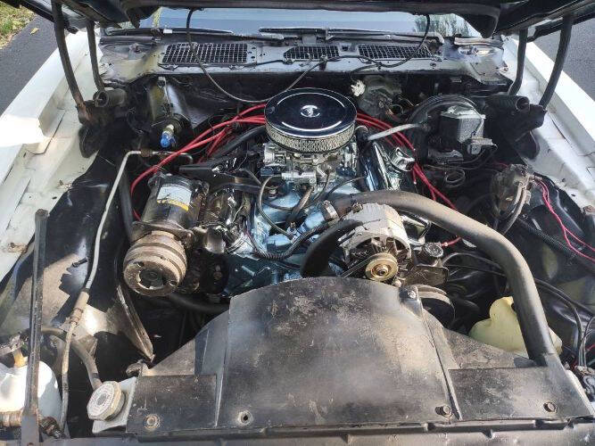 1979 Pontiac Trans Am