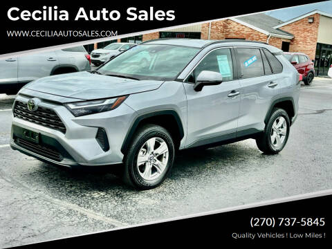 2023 Toyota RAV4 for sale at Cecilia Auto Sales in Elizabethtown KY