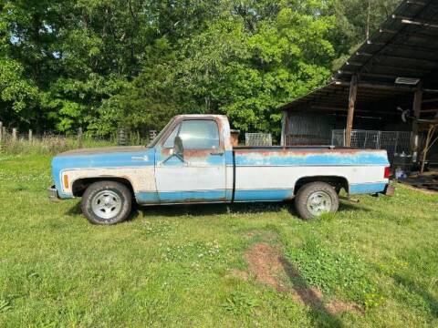 1976 Chevrolet Silverado 1500 SS Classic