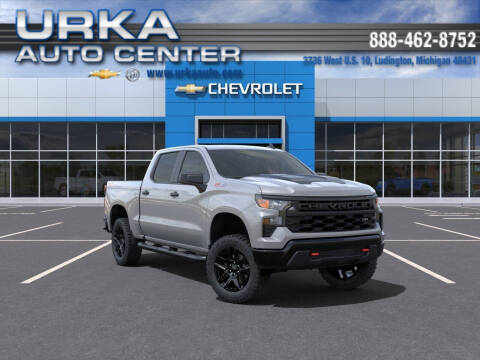 2024 Chevrolet Silverado 1500 for sale at Urka Auto Center in Ludington MI