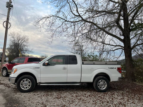 2010 Ford F-150 for sale at Alamo Motors in Hot Springs Village AR