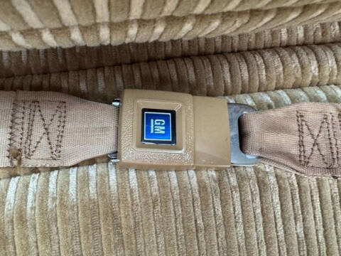 1981 Pontiac Firebird Trans Am