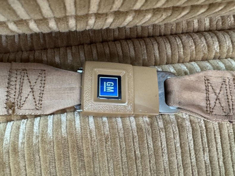 1981 Pontiac Firebird Trans Am