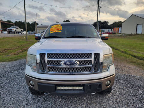 2011 Ford F-150 for sale at Auto Guarantee, LLC in Eunice LA