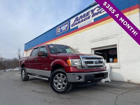 2013 Ford F-150 for sale at Amey's Garage Inc in Cherryville PA