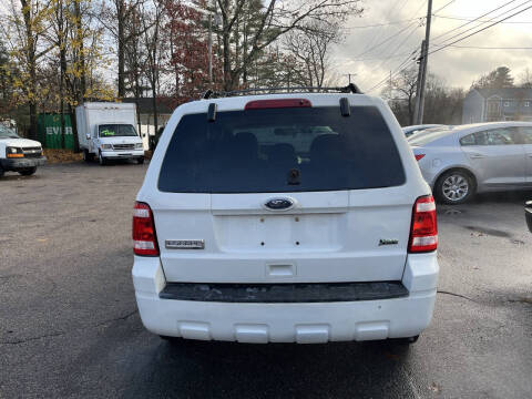 2010 Ford Escape XLT
