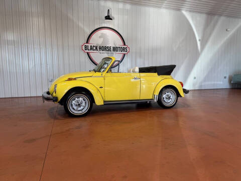 1979 Volkswagen Beetle