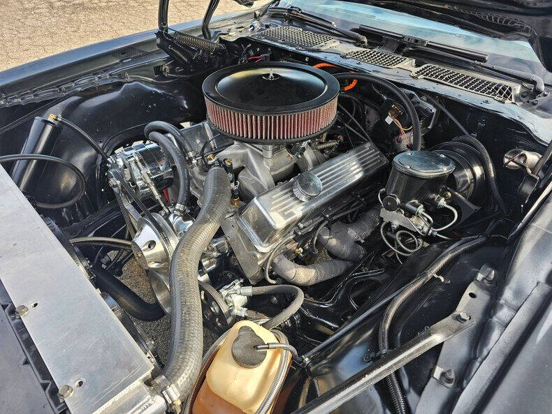 1981 Pontiac Firebird