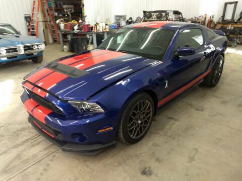 2013 Ford Shelby GT500 for sale at Martin Auto Sales in West Alexander PA