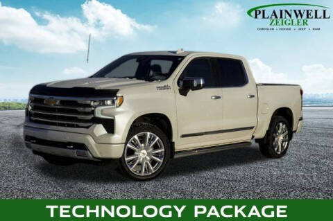 2022 Chevrolet Silverado 1500 for sale at Zeigler Ford of Plainwell in Plainwell MI