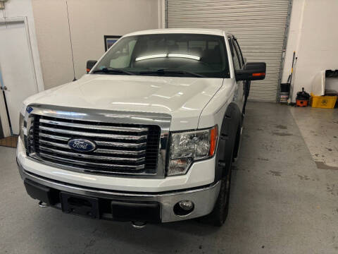 2011 Ford F-150 for sale at X Auto LLC in Pinellas Park FL