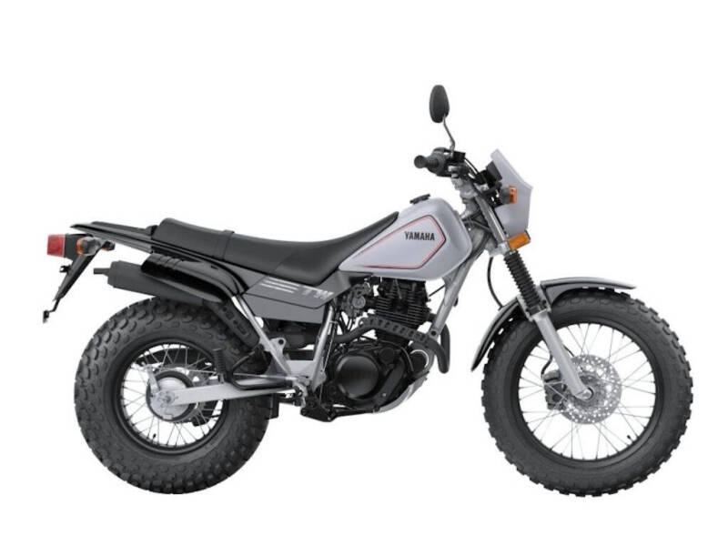 2025 Yamaha TW200 for sale at Street Track n Trail in Conneaut Lake PA