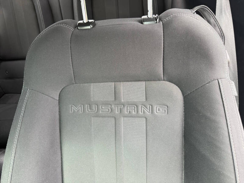 2019 Ford Mustang EcoBoost