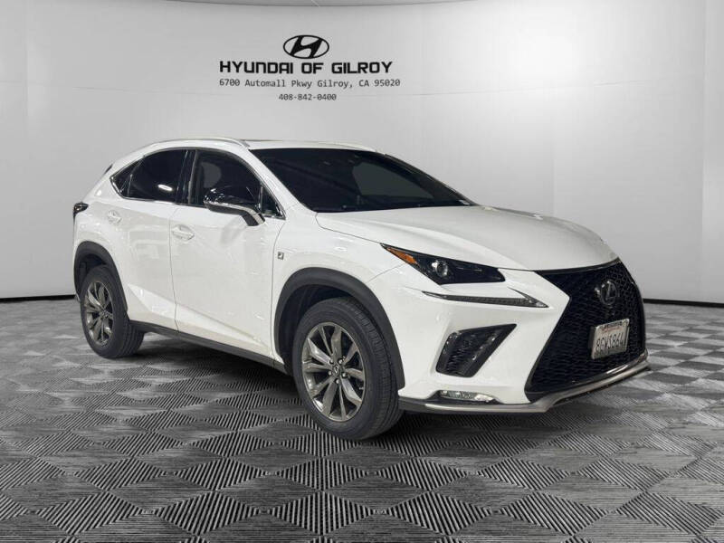 2019 Lexus NX 300 F SPORT