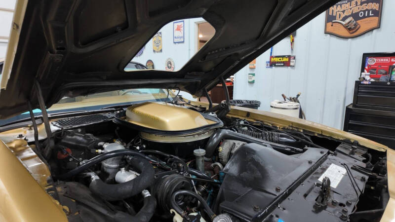 1979 Pontiac Trans Am