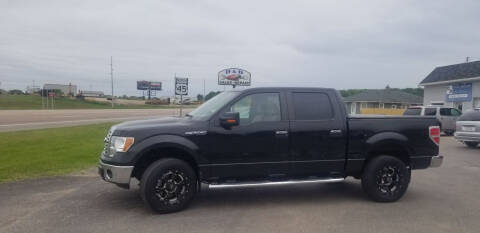 2010 Ford F-150 for sale at D AND D AUTO SALES AND REPAIR in Marion WI