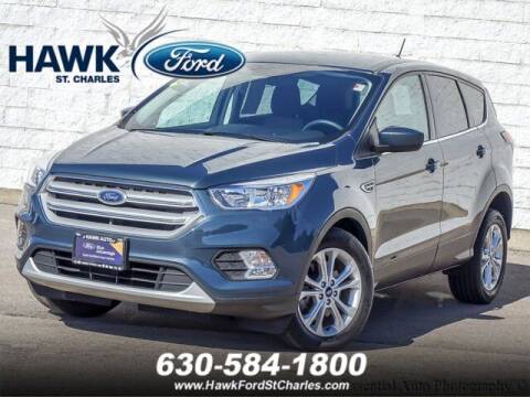 2019 Ford Escape for sale at Hawk Ford of St. Charles in Saint Charles IL