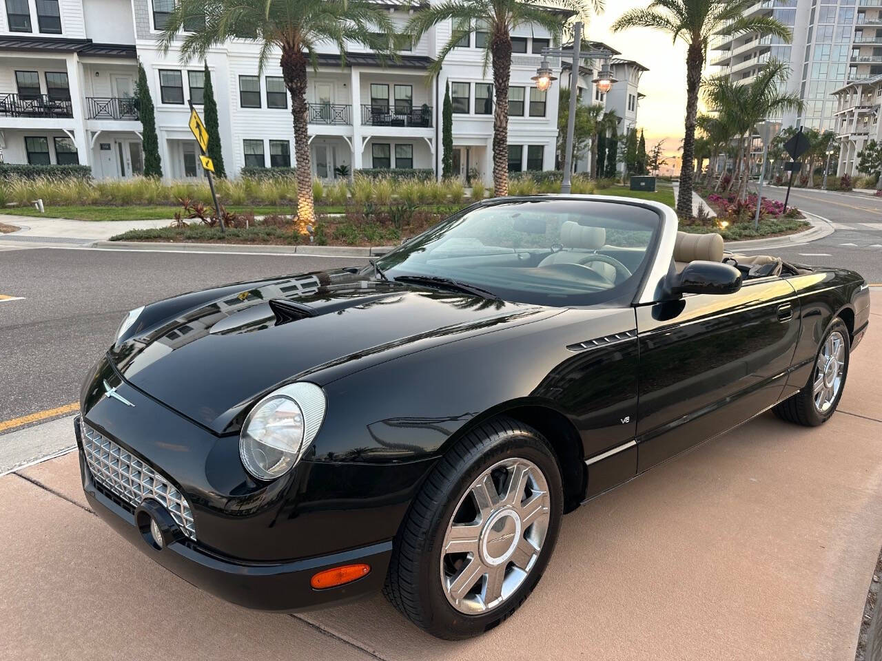 2004 Ford Thunderbird for sale at EUROPEAN MOTORCARS OF TAMPA in Tampa, FL