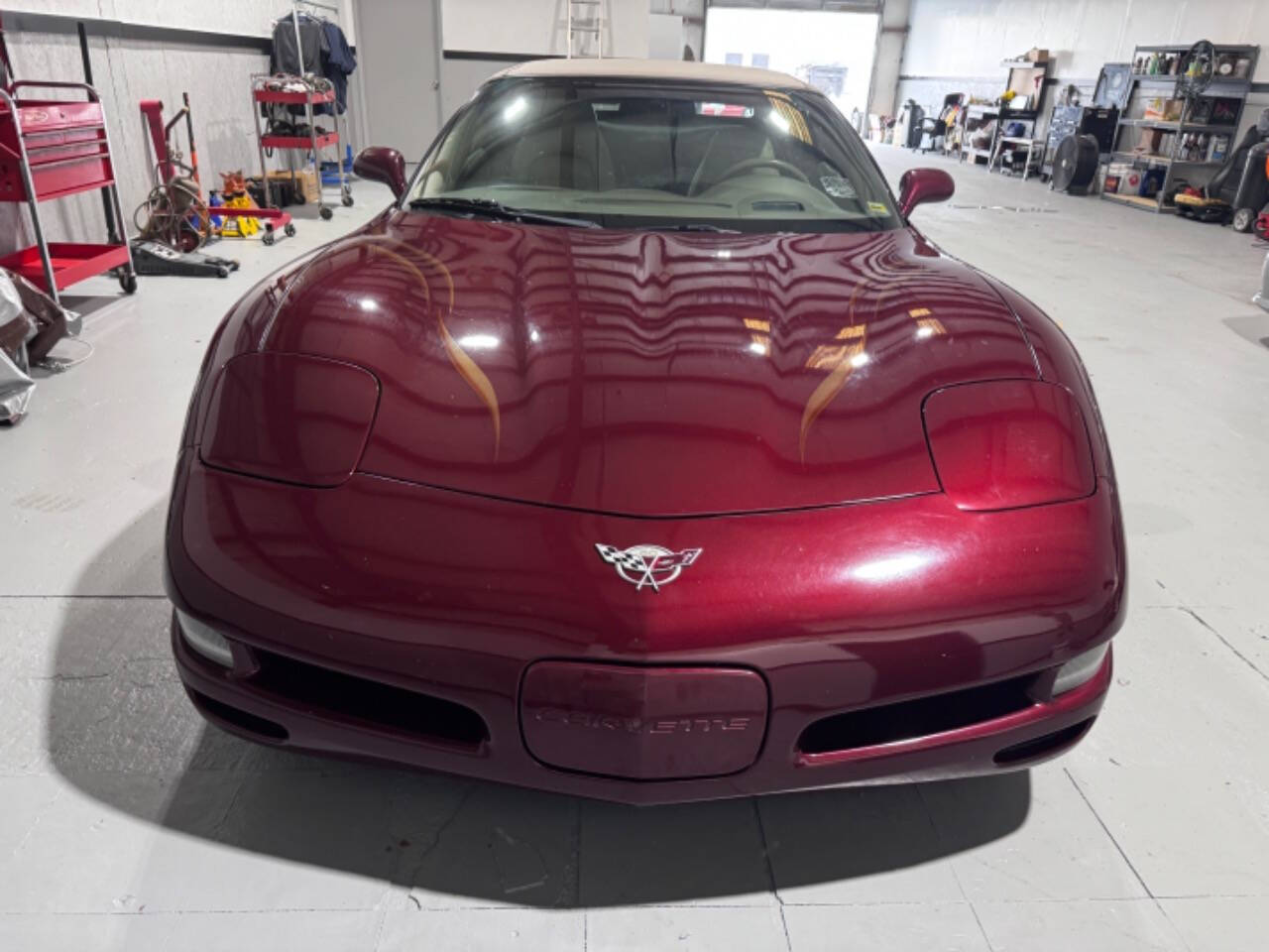 2003 Chevrolet Corvette for sale at EUROPEAN MOTORCARS OF TAMPA in Tampa, FL