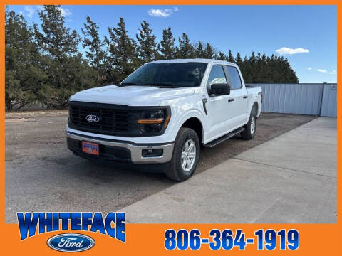 2025 Ford F-150 for sale at Whiteface Ford in Hereford TX