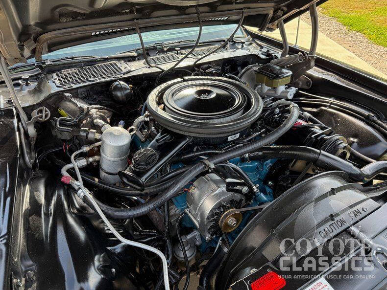 1981 Chevrolet Camaro