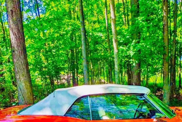 1969 Pontiac Firebird