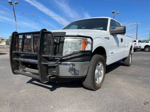 2013 Ford F-150 for sale at The Car Store Inc in Las Cruces NM