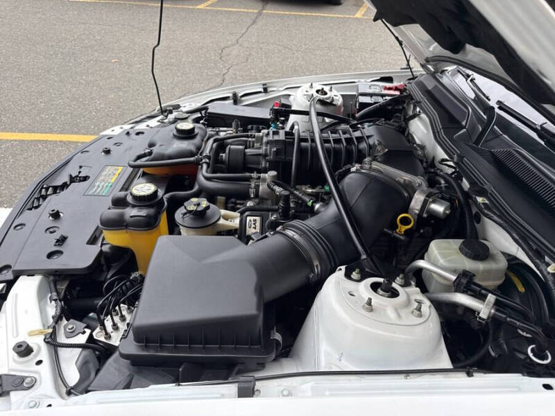 2007 Ford Shelby GT500