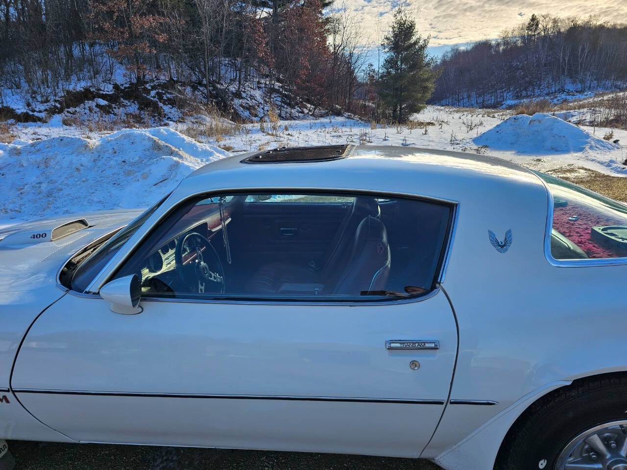 1976 Pontiac Trans Am 299